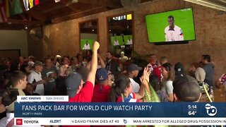 Fans pack North Park bar for World Cup watch party