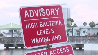 Health officials alert residents near North Shore Park of more blue-green algae