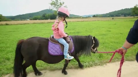 Little girl riding a pony in countryside (2)