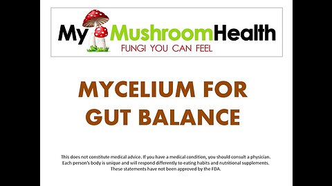 Medicinal Mushrooms for Gut Balance