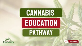 Cannabis Education Pathway - What To Learn First
