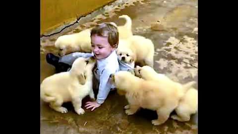 BABY PLAY WITH PUPPIES 😁😊👍