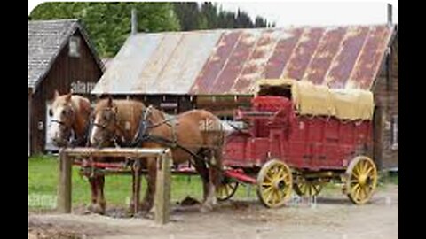 Edited Ohio, Firewood, Buckboard Wagon Driving a Team of Horses
