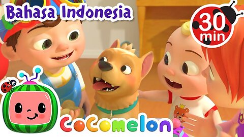 Lagu Anjingku, Bingo! - CoComelon Bahasa Indonesia - Lagu Anak Anak - Nursery Rhymes