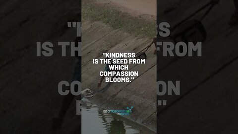Kindness Videos | Short Quotes for Random Act of Kindness #Kindess #Shorts #Viral