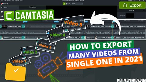 How to export many videos from a single one at once.