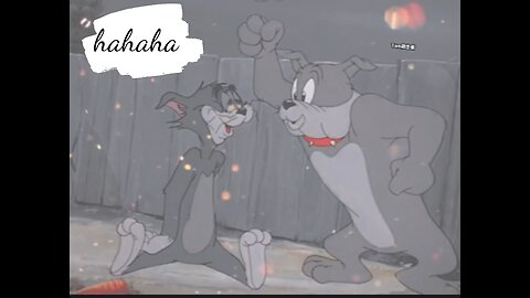 Tom and Jerry Cartoon full episodes new 2023/ Full kids cartoon P2