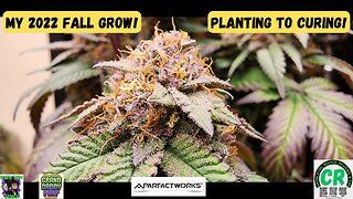 2022 Fall Grow - From Planting Prairie State Genetix Seeds to Curing!!
