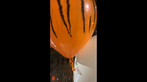 Bengals balloons float away