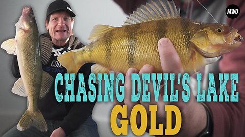 Perch, Pike, and Walleyes on Devils Lake