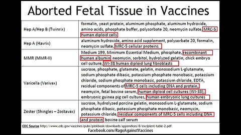 Dr. Stanley Plotkin testimony regarding aborted fetal tissue used in \/a€€ines