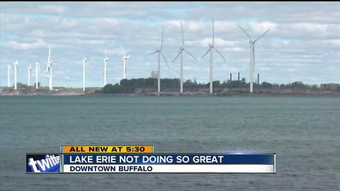 Lake Erie is not doing so great