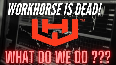 Workhorse is dead?!!? No USPS contract (What do we do with our shares?)