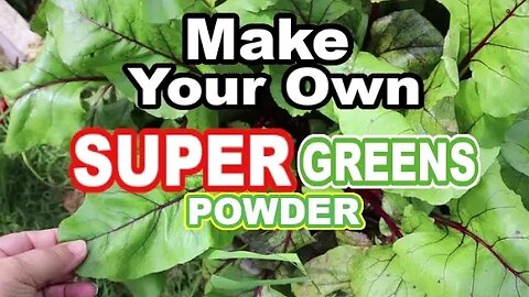 The BEST Organic SUPER GREENS POWDER Home Grown from YOUR OWN GARDEN #supergreens #supergreenfood