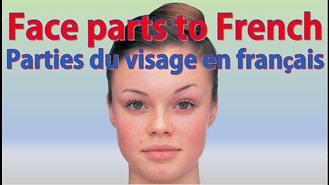 learn french visual dictionary