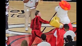 Conor McGregor Knocks Out Miami Heat Mascot, Booed