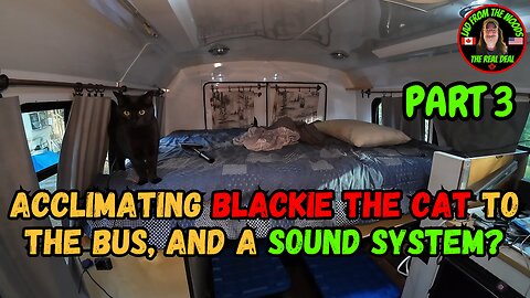 04-16-24 | Acclimating Blackie The Cat To The Bus And A Sound System | Part 3