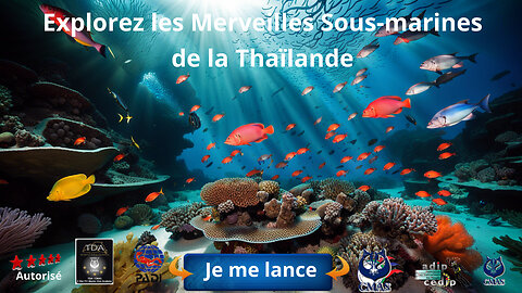 Explorez les Merveilles Sous-marines de la Thaïlande