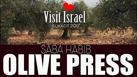 Saba Habib Olive Oil Press