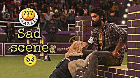 Charlie 777 most scene (Rakshit Shetty emotional scene)#dog#doglover#labrador#charlie 777