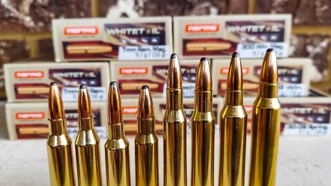 Norma Whitetail Ammo - Full Review of all Loadings