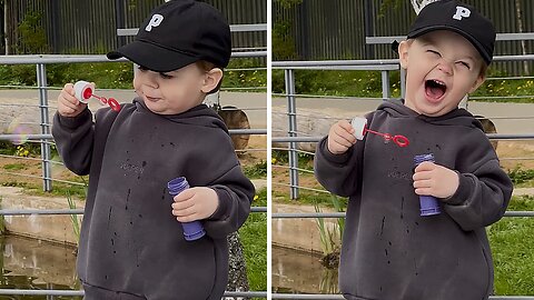 Little Boy's Bubble Adventure Turns His Laughter Into Old Man Chuckles