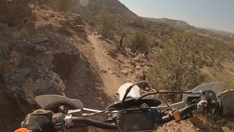 Dry Creek - Coyote Singletrack