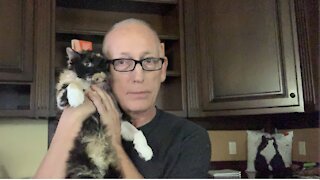 Episode 1514 Scott Adams: Boo the Cat and I Have Plenty to Say Today About the News