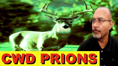 Chronic Wasting Disease Prion(3 important questions)