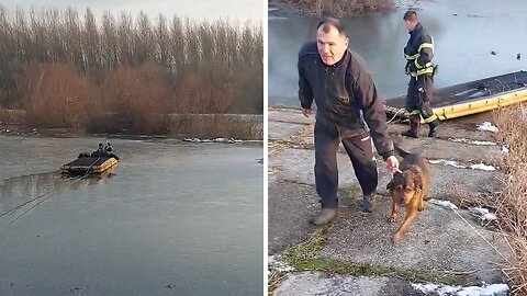 Firefighter rescue woman and her dog from icy river