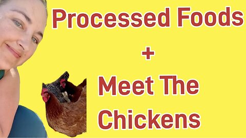 Quick Thoughts on Processed Food and Meet My Chickens!