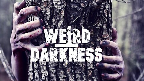 “THERE IS NOWHERE TO RUN IN THE WOODS” - True Stories of Terror in the Wilderness! #WeirdDarkness