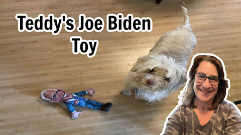 Teddy's Joe Biden Chew Toy