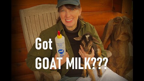 Bottle Feeding Kid Goats – How We Use Milk Replacer to Feed Our Baby Kid Goats at Our Homestead