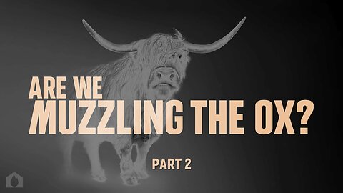 Are We Muzzling The Ox? Part 2