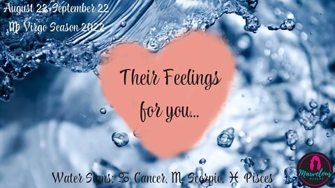 🌊 Water Signs: ♋️ Cancer, ♏️ Scorpio, ♓️ Pisces: Their Feelings for you! [♍️ Virgo Season 2022]