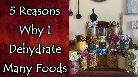 5 Reasons Why I Dehydrate More Foods Each Year