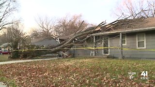 Powerful winds topple trees, cause damage across metro