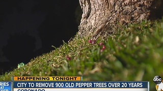 City to removed 900 pepper trees over 20 years