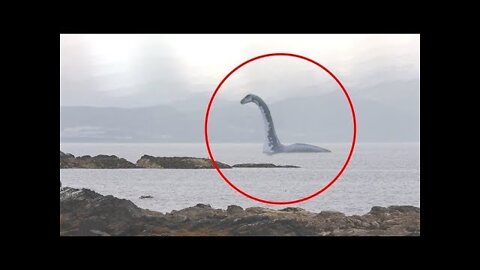 5 SEA SERPENT CAUGHT ON CAMERA