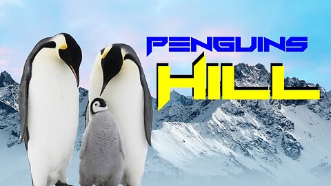 Laughing All the Way Down: Penguin Antics on the Famous Penguin's Hill! 🐧 ❄️