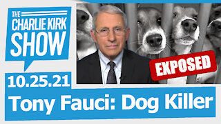 Tony Fauci: Dog Killer | The Charlie Kirk Show LIVE 10.25.21