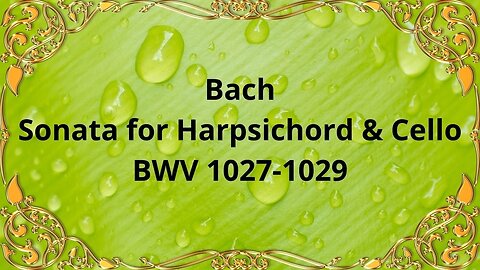 Bach Sonata for Harpsichord & Cello