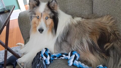 Unboxing: Bmag Dog Rope Toys for Aggressive Chewers, Interactive Heavy Duty Dog Toys