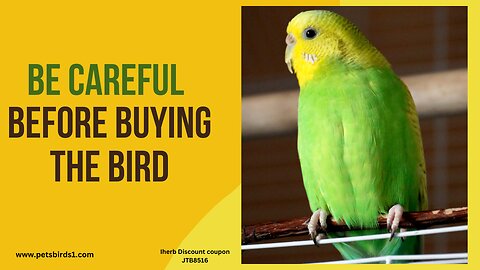 Bird ownership | Don't raise a bird until you know this #pets_birds #cage_life #bird_care