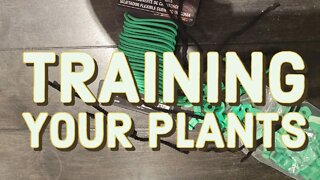 Training your Plants