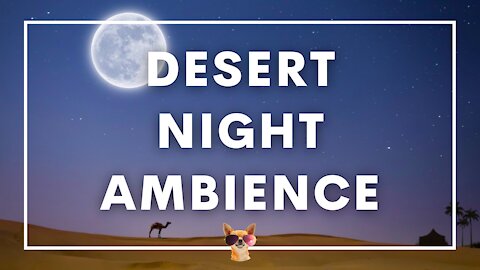 2 Hours Of Desert Night Ambience | Full Moon, Clear Skies | Study, Work, Relax, Meditate, Sleep