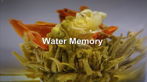 Luc Montagnier: Water Memory (2014)