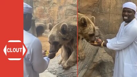 Casanova Feeds A Bear In Dubai!