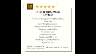 Shrub Trimming Clear Spring MD 5 Star Video Review